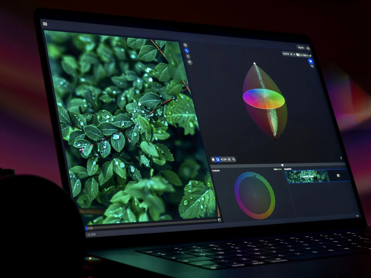Ekran laptopa z programem do obróbki zdjęć pokazującym korekcję kolorów